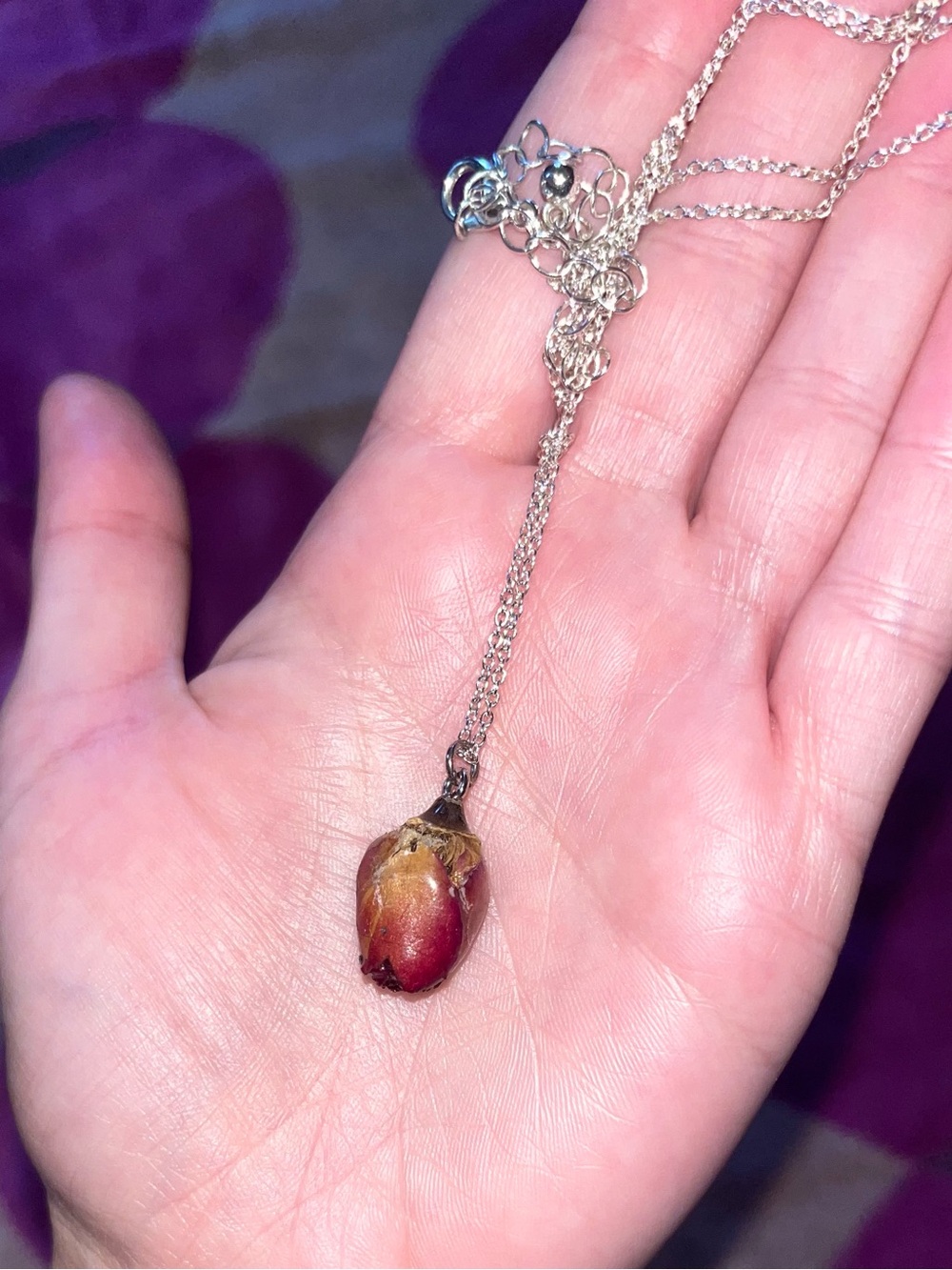REAL Preserved Rosebud Pendant Necklace with Silver Chain - Picture 3 of 11